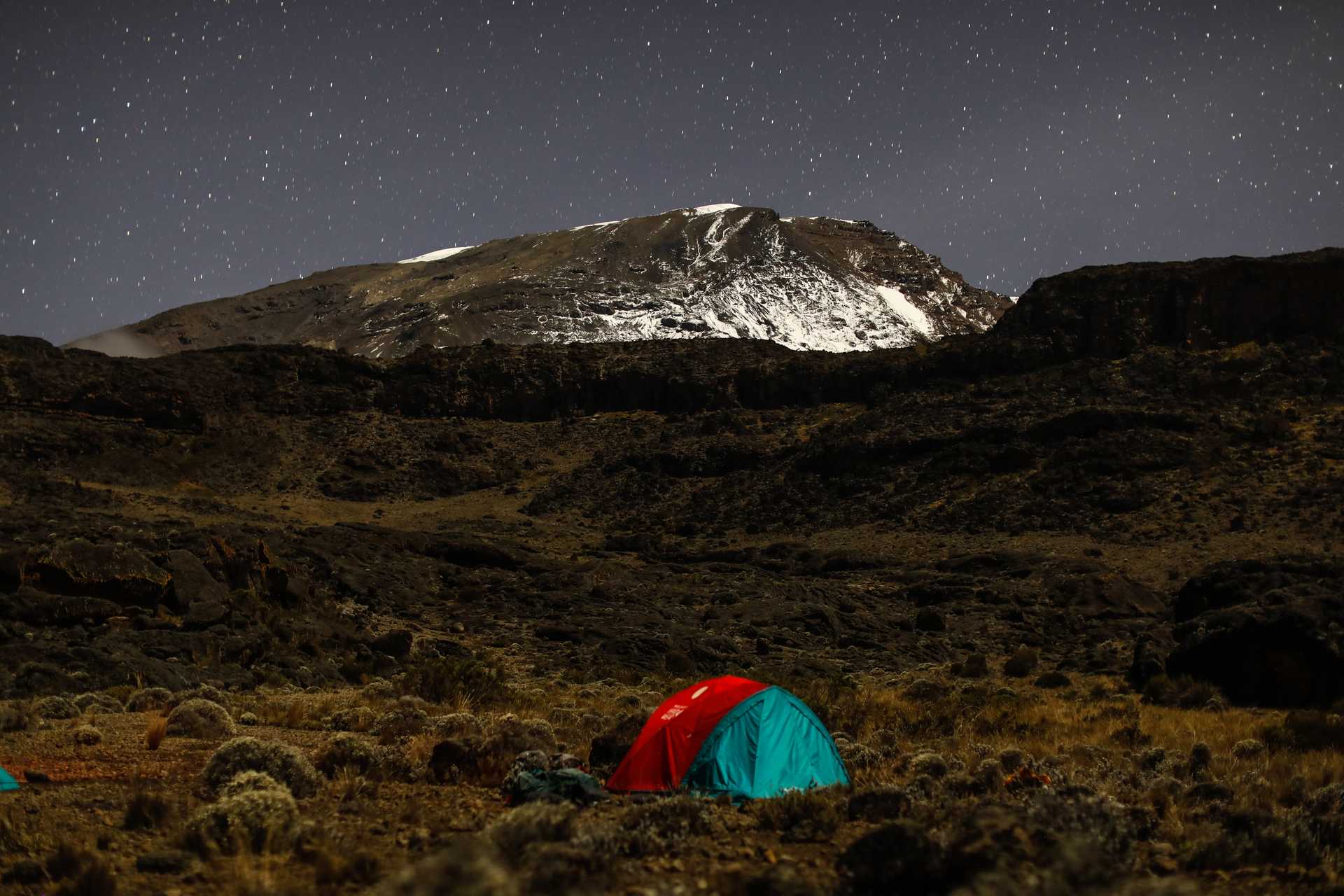 Tanzania: Tradle Facts of the Day 6/28/23 - Featured image